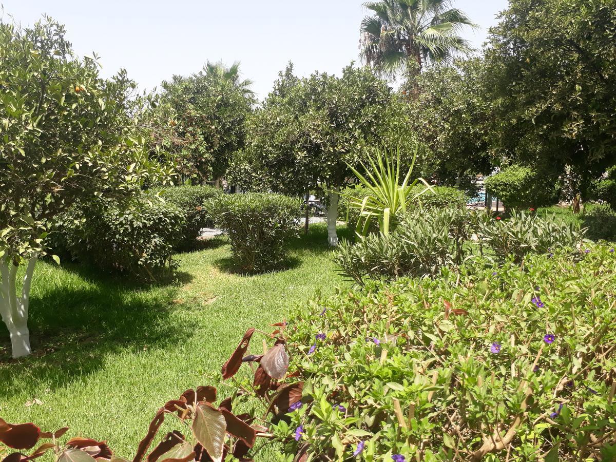 Almounia Hotel & Spa Тарудант Экстерьер фото